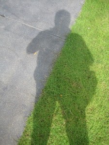 shadow 2