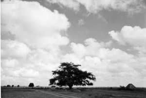 matrimandir before meditation hall was built