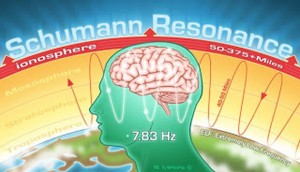 schmunm wave and brain