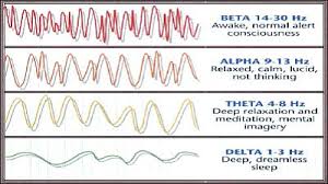 brain frequencies