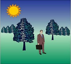 natural field