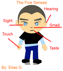 5 sensors boy