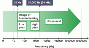 ultrasound range of human hearing